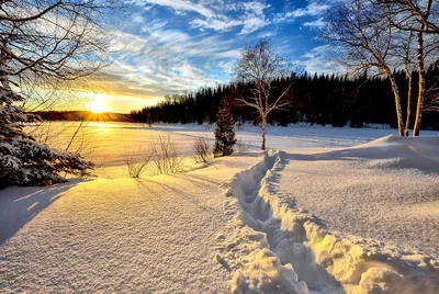 Свет и тень зимнего дня: Фото русской зимы