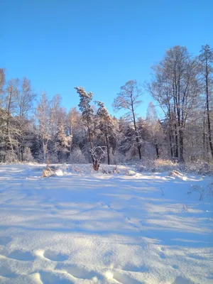 Снежная симфония: Фотографии русской зимы