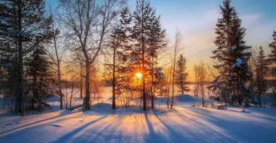Белая сказка: Фотографии русской зимы в формате PNG