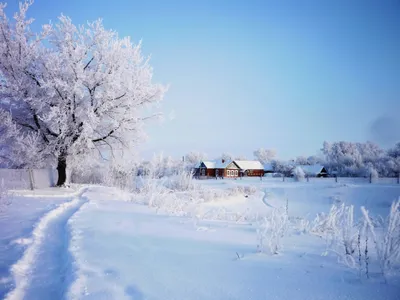 Сказочные моменты: Фотографии Русской зимы