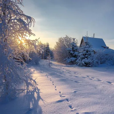 Ледяные пейзажи: Изображения зимней русской природы