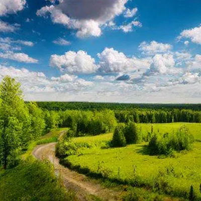 Тайны Утренней Росы: Живописный Русский Пейзаж