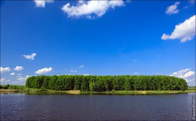 Скачать бесплатно: изображения русских пейзажей в форматах png, jpg, webp, gif