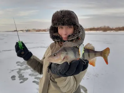 Изысканные снимки рыбы факел веселят глаза