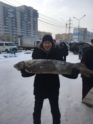 Фотки рыбы Якутии: погрузитесь в эстетику водного царства