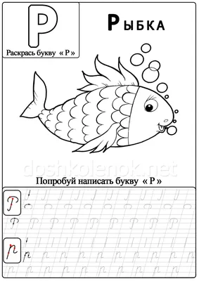 Картинка рыбы на букву К в формате webp