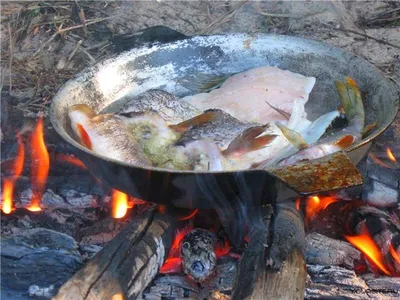 Фото рыбы на костре: вкусная картинка