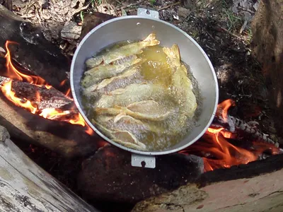 Рыба на костре: вкусное блюдо на фото