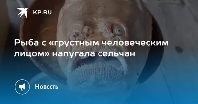 Фото загадочной рыбы с человеческим лицом в jpg для скачивания