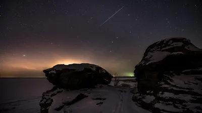 Картинка рыбы стрельца, подходящая для рекламы