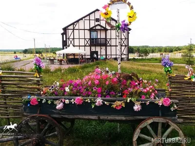 Фотография рыбы журавки: Живописные изображения для вдохновения