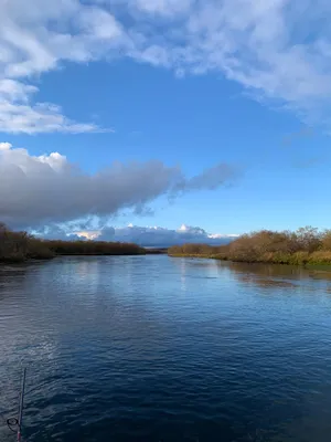 Уникальные снимки рыбалки на реке: скачайте бесплатно в HD качестве