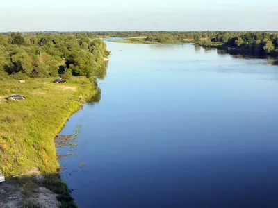 Мастерство и страсть: фотодоказательства рыбалки на реке