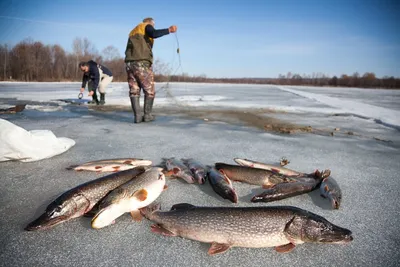 Ледяные моменты: Фотографии зимней рыбалки