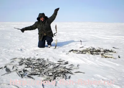 Зимние контуры: Фото рыболовного пейзажа
