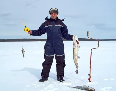 Зимнее уединение: Фотографии рыбалки в тишине