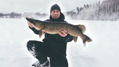 Ледяные рыбаки: Фотографии зимнего клуба любителей рыбалки