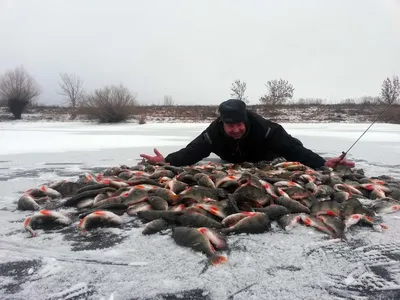 Зимний релакс: Фотографии уютных рыболовных моментов