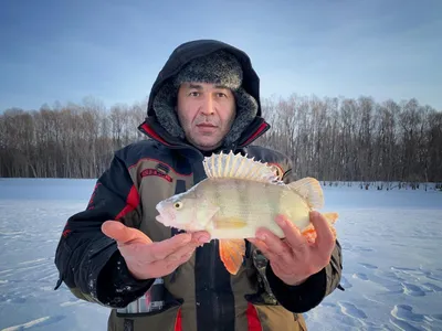 Зимние рыболовные стихии: Фотографии морозных бурь