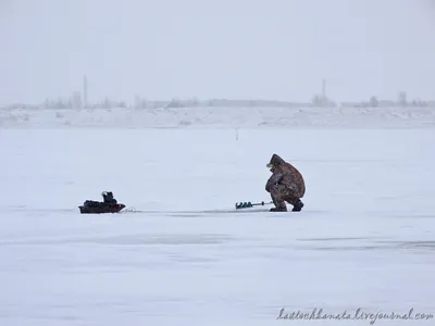 Фото ожившего льда: Зимняя рыбалка в объективе