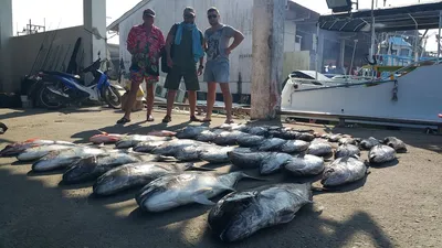 Подводный рай андаманского моря ваших глаз: фотографии рыб