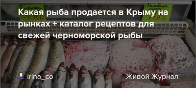 Рыбы черного моря крым фотографии