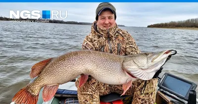 Уникальные изображения рыб водоема Обь