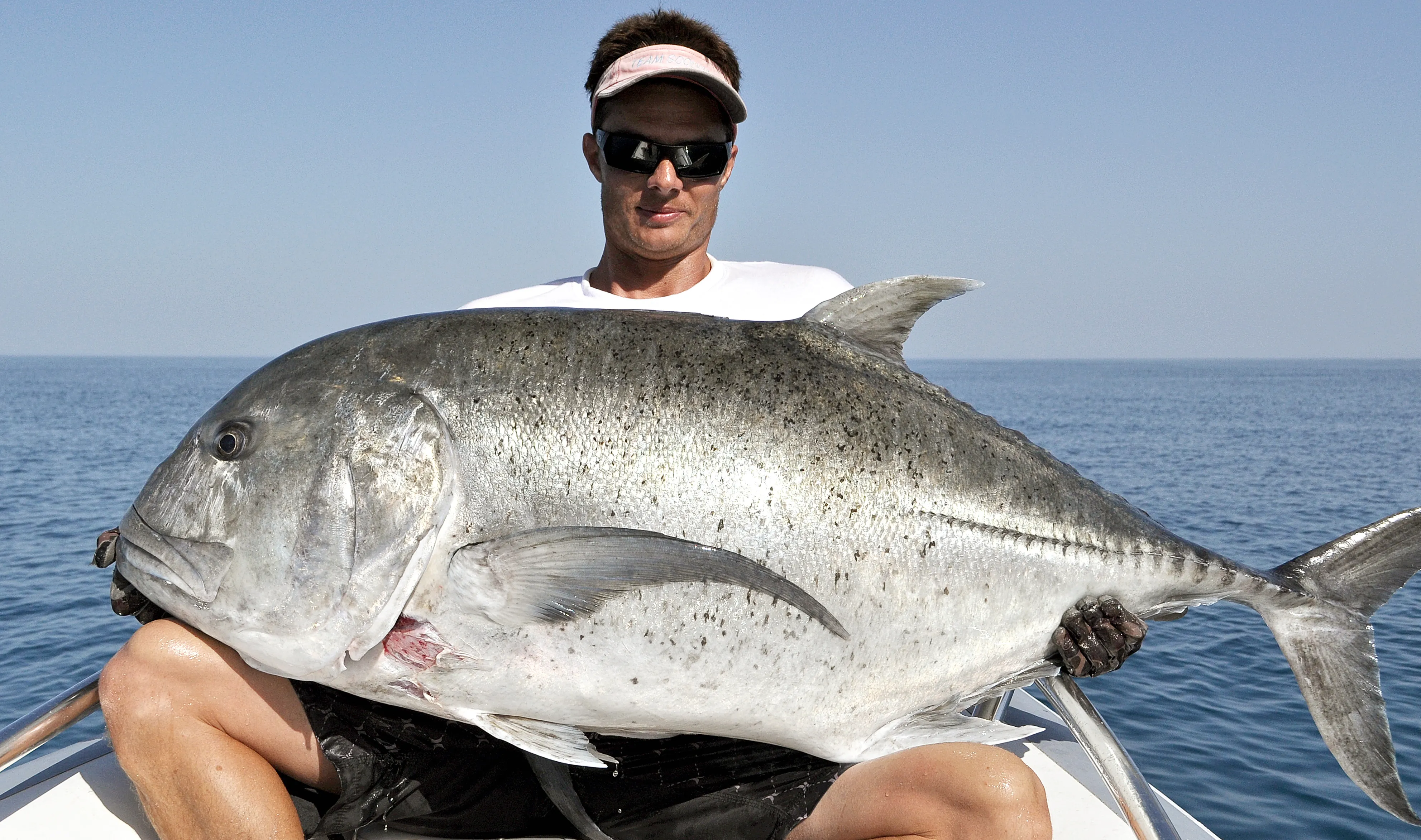 Самое богатое море рыбой. Желтоперый каранкс. Групер рыба Тайланд. Giant Trevally. Тунец рыба.