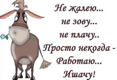 Зарядитесь позитивом: ржачные афоризмы в картинках, которые поднимут вам настроение!