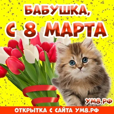 Скачать бесплатно фото с бабушкой на 8 марта в хорошем качестве