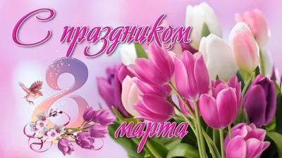 8 марта: новые фото в форматах PNG, JPG, WebP