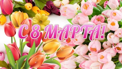 8 марта: новые фото в формате WebP