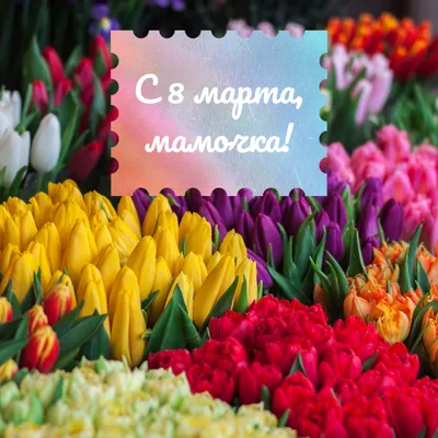 Фотк с поздравлениями на 8 марта для мамочки