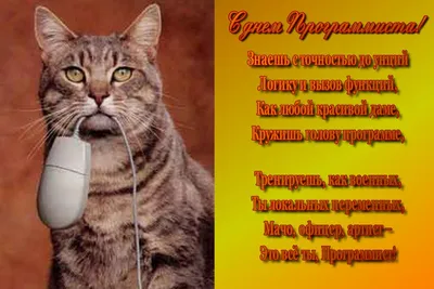 Поздравления с Днем Рождения: скачать изображение в хорошем качестве