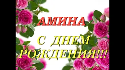 Изумительные снимки для поздравления Амина!