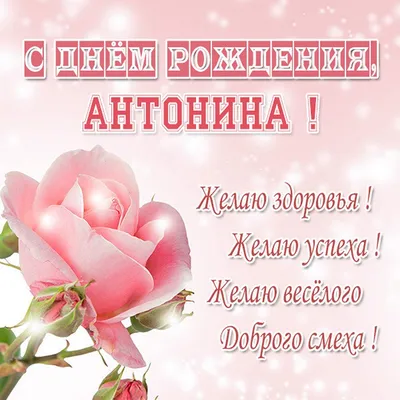 Фотографии, запечатлевшие радость Дня Рождения Антонина Картинки!