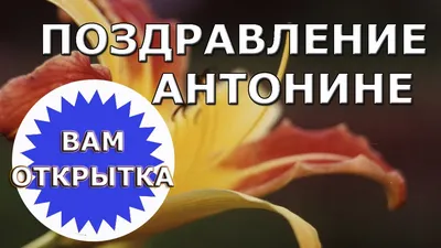 Незабываемые моменты с Днем Рождения Антонина Картинки!