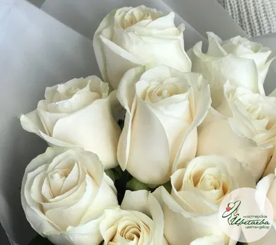 Красивые белые розы на День Рождения: выберите размер и скачайте jpg