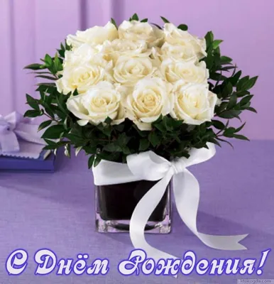 Фото прекрасных белых роз для поздравления с Днем Рождения: выбор формата загрузки (jpg, png, webp)
