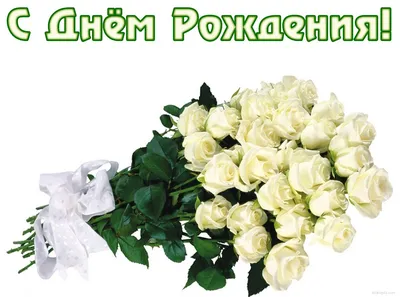 Праздничное фото белых роз: варианты скачивания jpg, png, webp