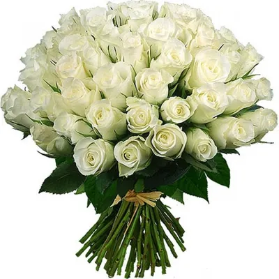 Удивительная картинка белых роз для впечатляющего поздравления: загрузка в формате jpg