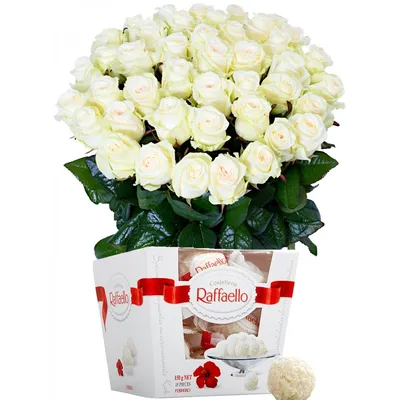 Загадочные белые розы на фото: выбор формата для скачивания - jpg, png, webp
