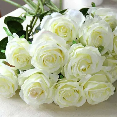 Фото белых роз для незабываемого праздника: загрузка в формате png