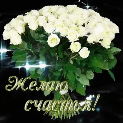 Фотография белых роз для настоящего торжества: доступные форматы - jpg, png, webp