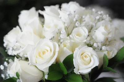 Фото роскошных белых роз для памятного события: загрузка в формате webp