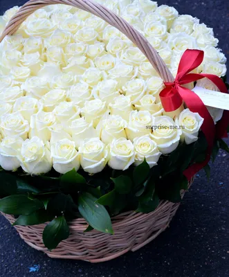 Фото белых роз для запоминающегося поздравления: выбор формата для загрузки - jpg, png, webp