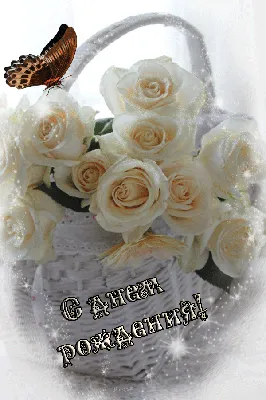 Изображение роскошных белых роз на День Рождения: возможность скачать в форматах jpg, png, webp