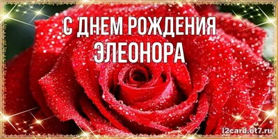 Особые моменты на День Рождения Элеоноры.