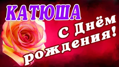 Катюша, с Днем Рождения! Фото-подборка для вас!