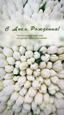 С Днем Рождения! Фото-поздравления для красотки